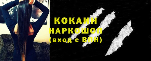 молекула духа Няндома