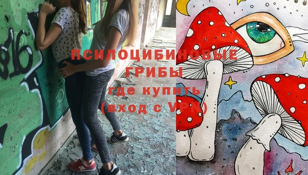 дмт Новокубанск